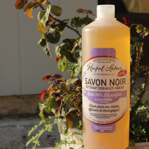 Peut-on utiliser le savon noir contre les pucerons ?