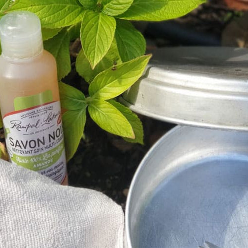Pourquoi utiliser son savon noir sur des plantes ?