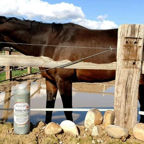 Savon noir pour les animaux domestiques
