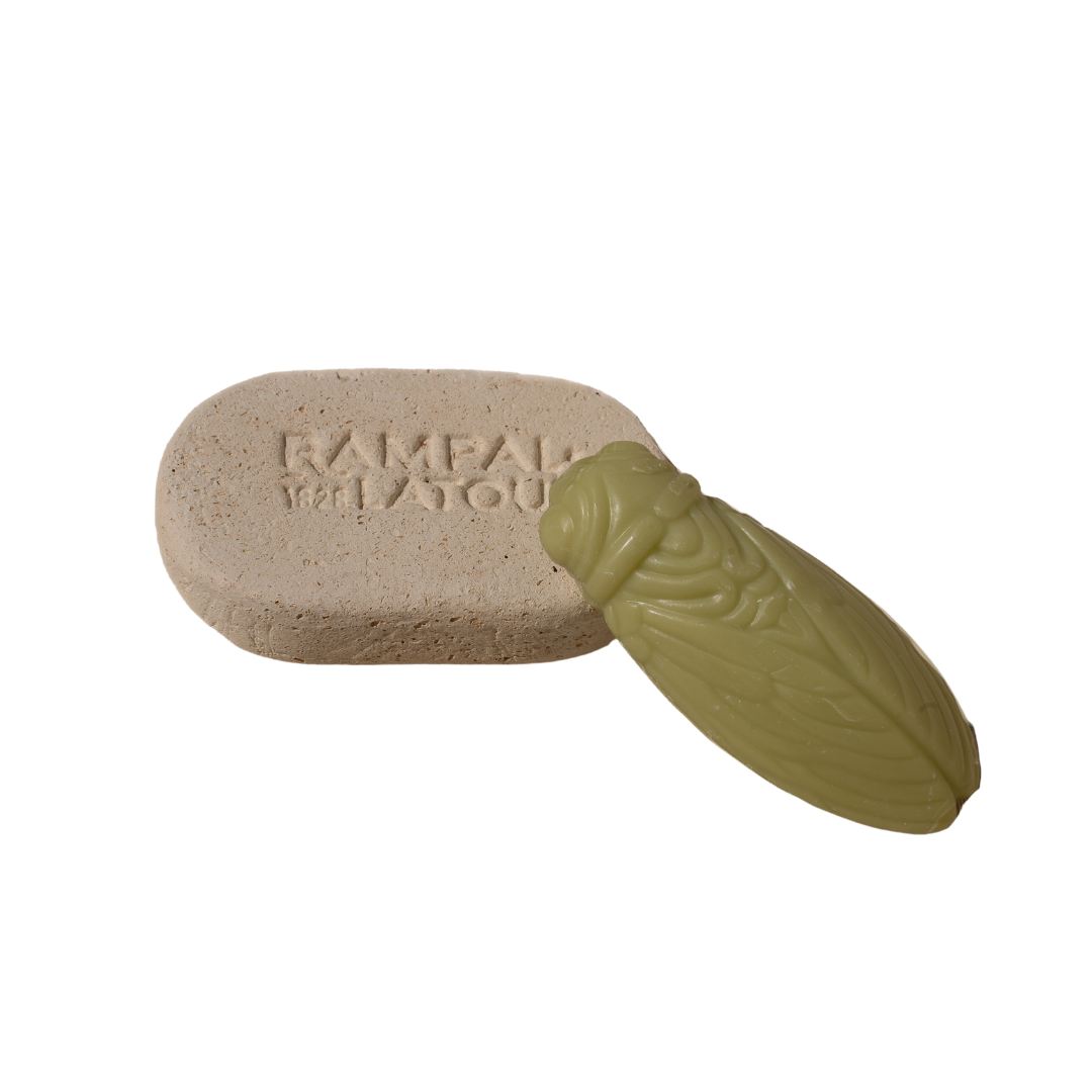 rectangular exfoliating clay body stone