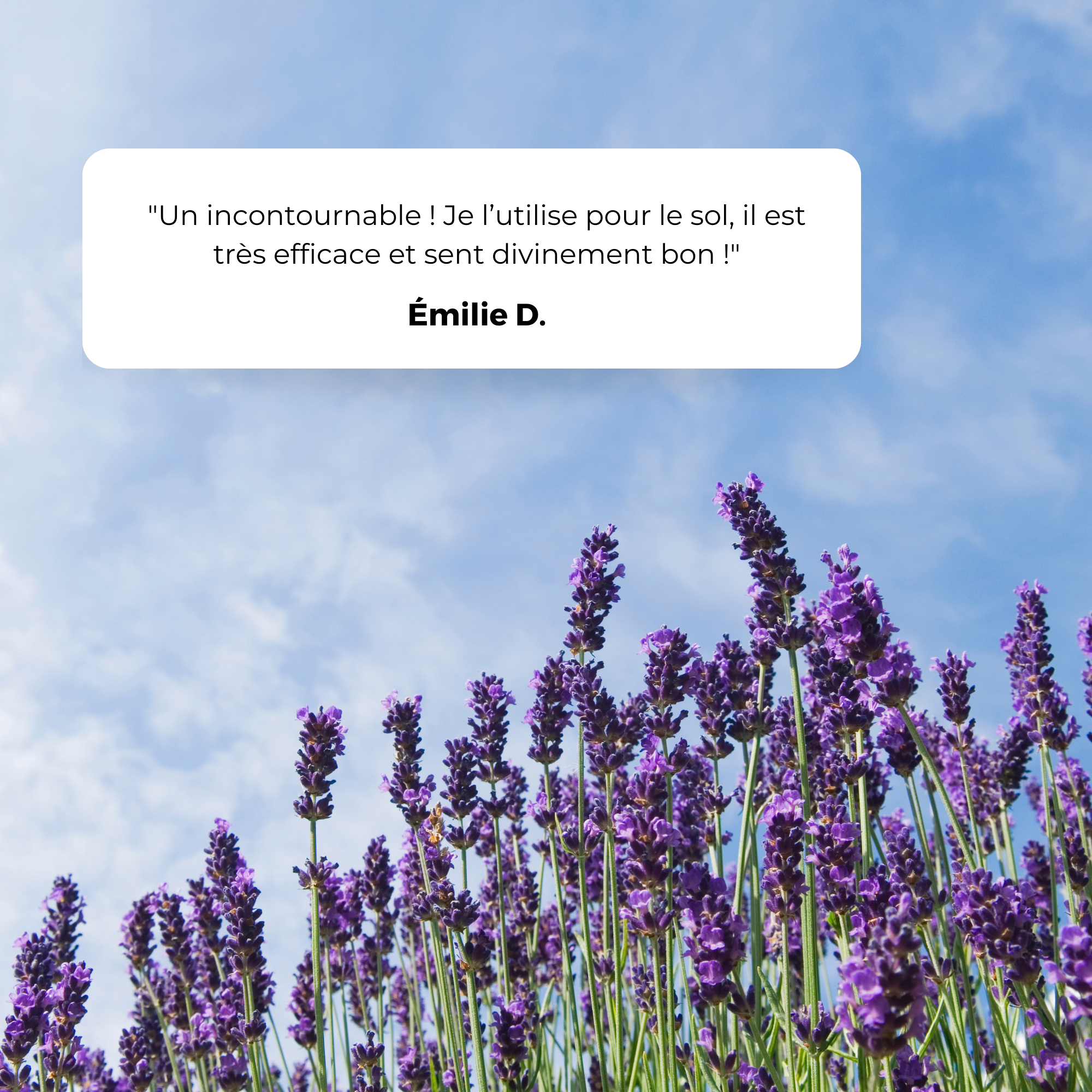 Savon noir à l'huile de lin Lavandin 5L - Ecodétergent