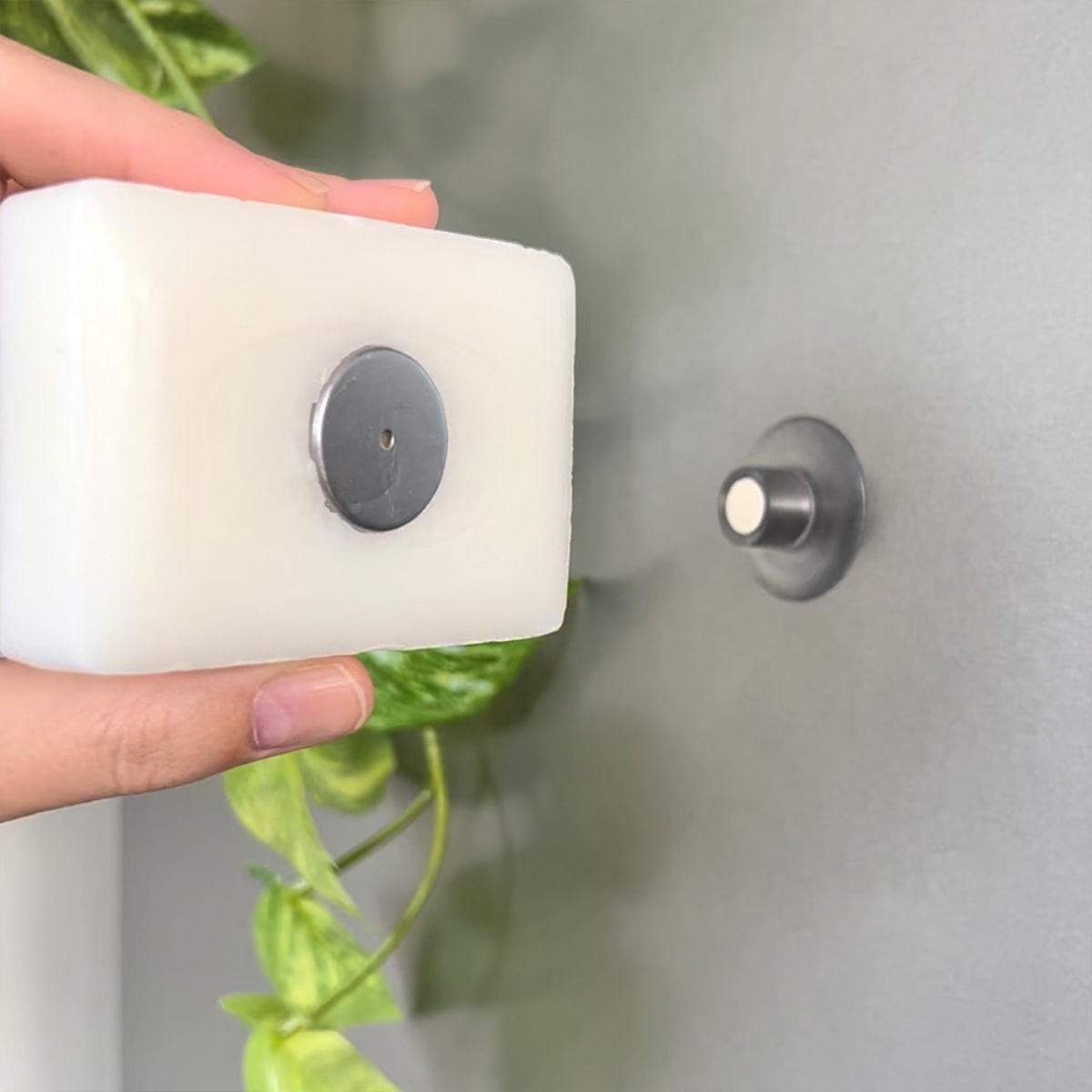 Savon de Marseille blanc fixé sur un porte-savon aimanté mural, devant une plante verte