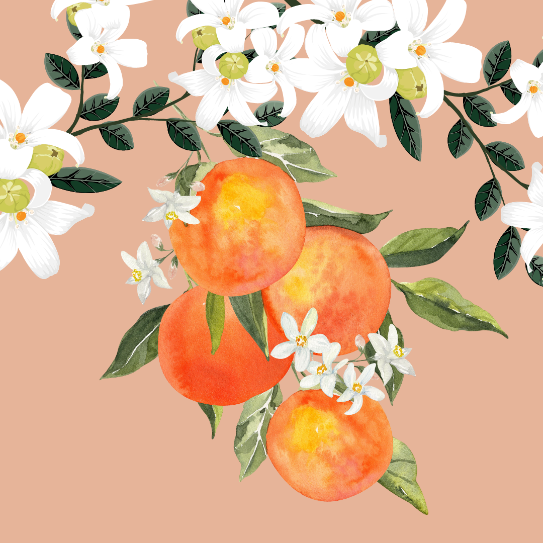 Superfatted Orange Blossom Soap 3x125g