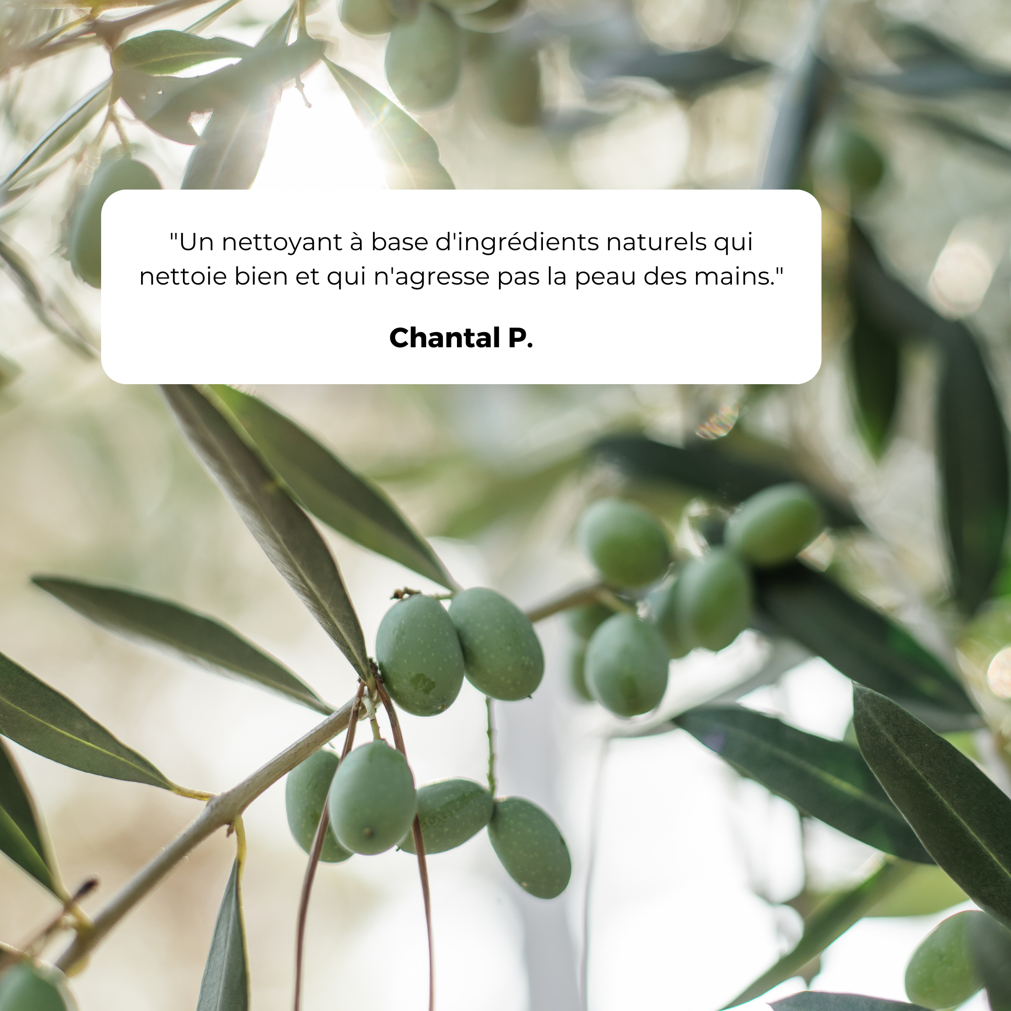 Savon noir à l'huile d'olive 1L - Ecodétergent